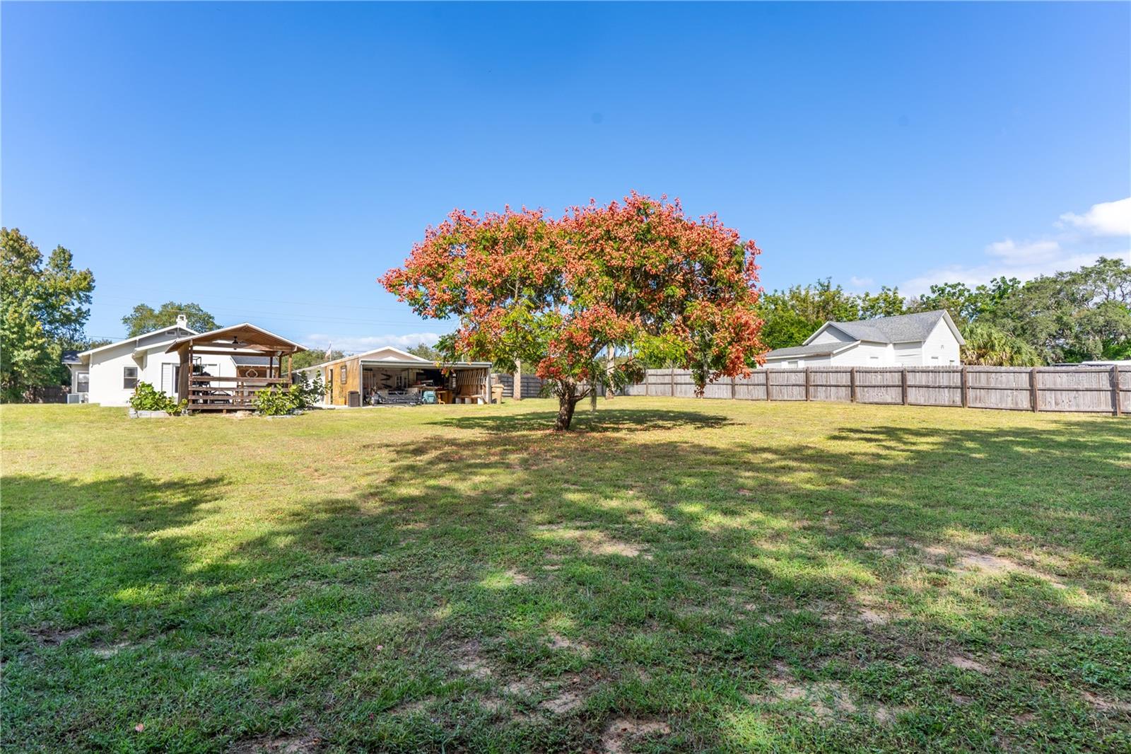 Large Back Yard