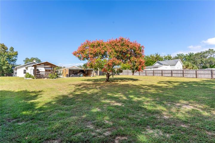 Large Back Yard