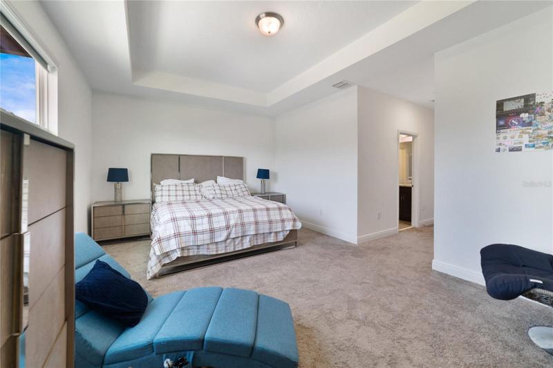 PRIMARY SUITE.