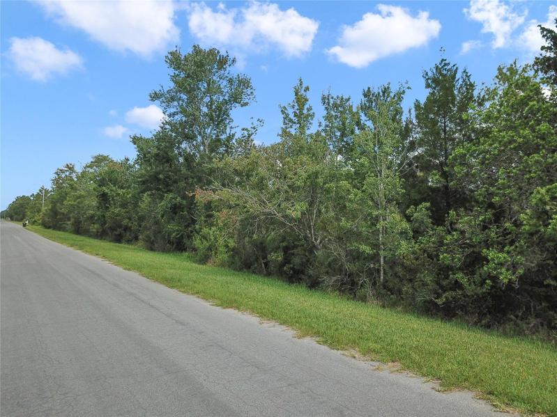 Located just minutes to Wedgefield park, Wedgefield Golf Club and an easy commute to 528, 520, Lake Nona, Medical City, shopping, restaurants, beaches and so much more!