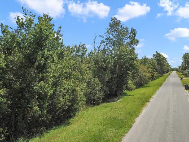 Don't let this amazing opportunity to create your CUSTOM HOME and start enjoying the Central Florida lifestyle all year round pass you by!