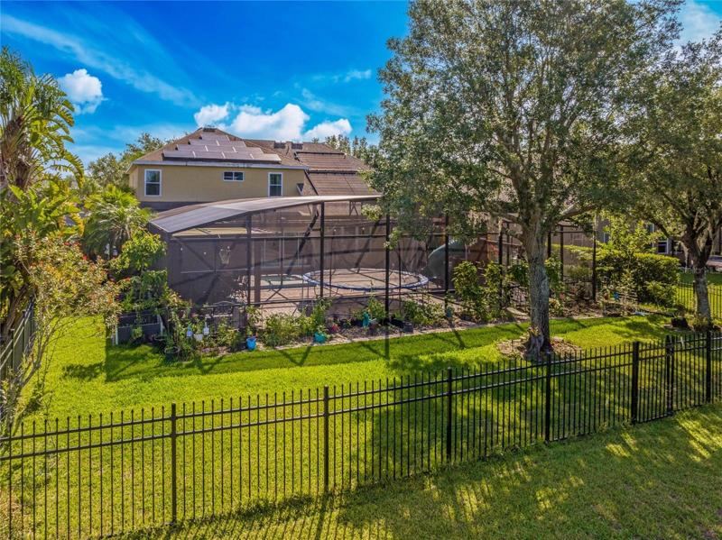 Fenced Backyard