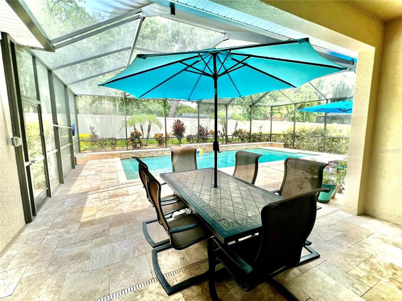 Screened lanai with saltwater pool!
