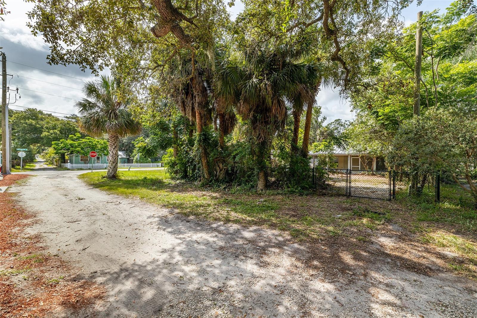 View toward back of house from the alley access point.