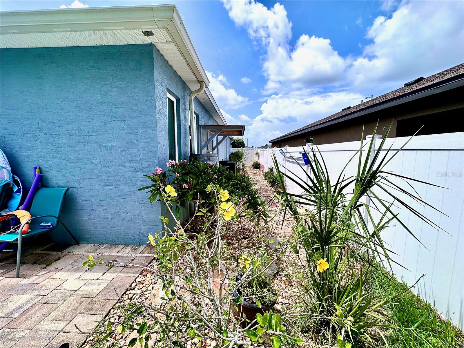 Backyard Left Side