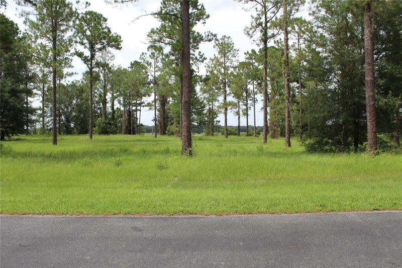 Lot 33 Front