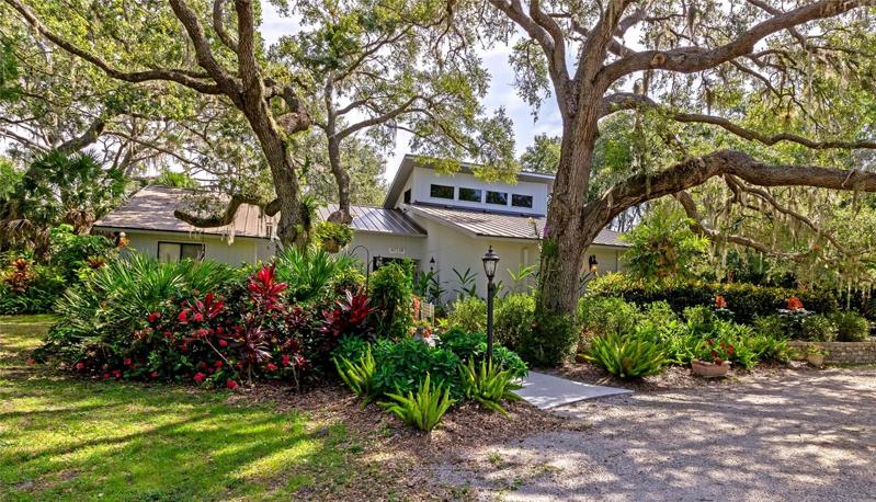 Lush Tropical Landscaping