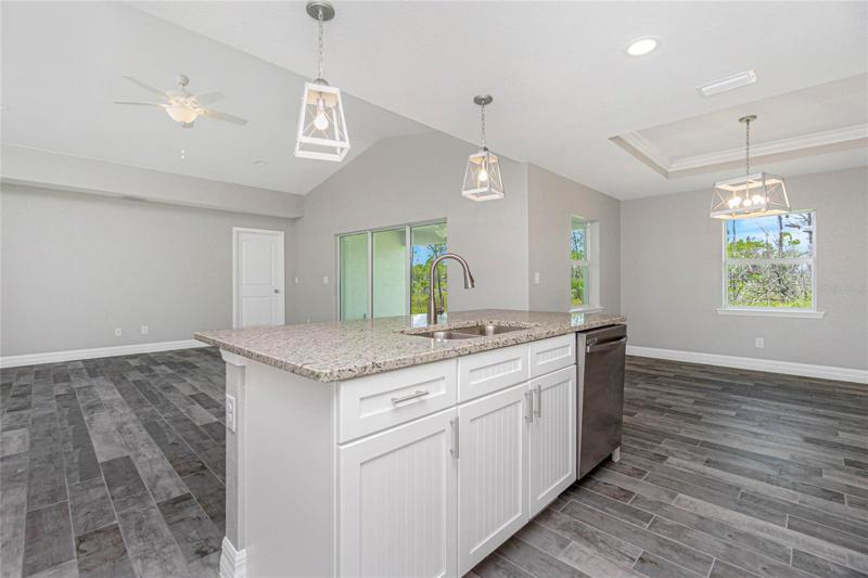 Kitchen to Living