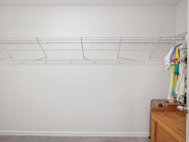 5' x 11' walk in closet