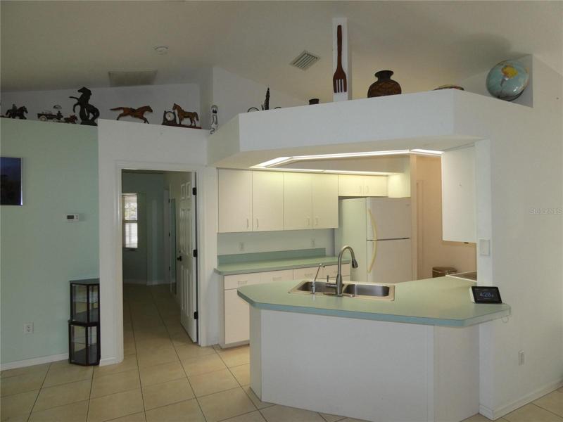 Plant shelves in kitchen