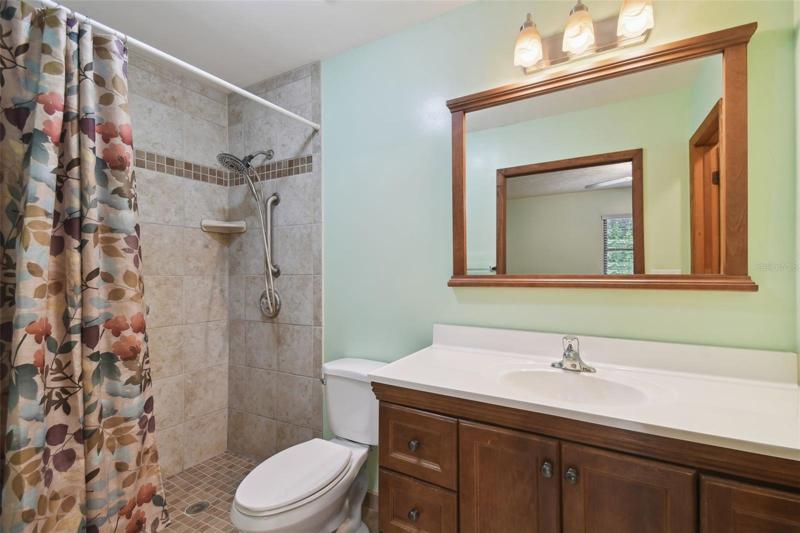 Owner's Bath and Single Vanity