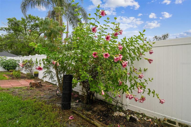 Spot in the yard to grow your garden!