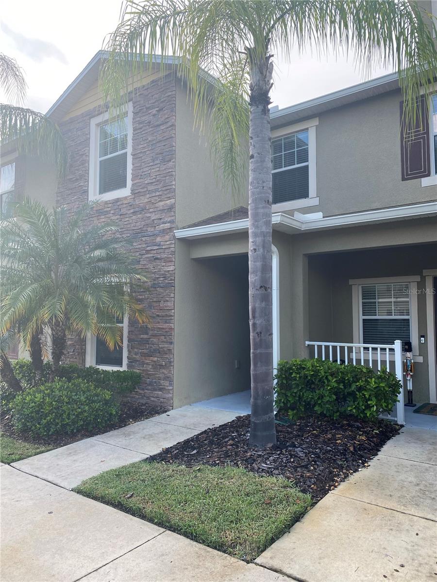 View of 31145 Gossamer Way from the street