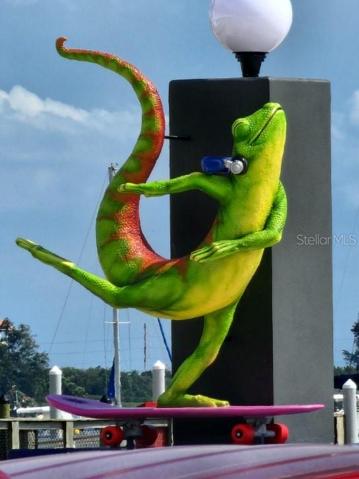 G.Gordon McFly- Gulfport mascot!