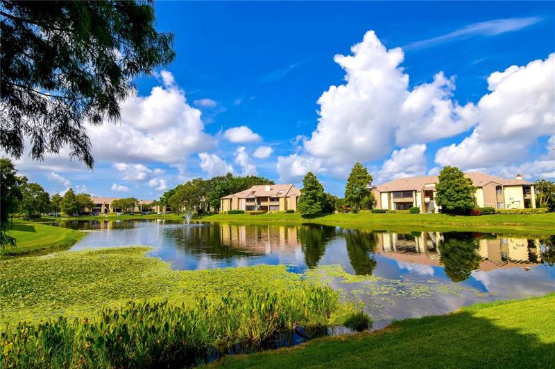 Pond View