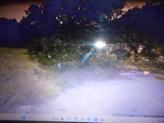 5084 W STRAWBERRY LN HOMOSASSA FL
