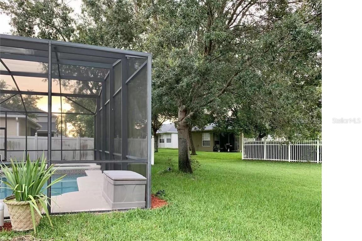 Backyard