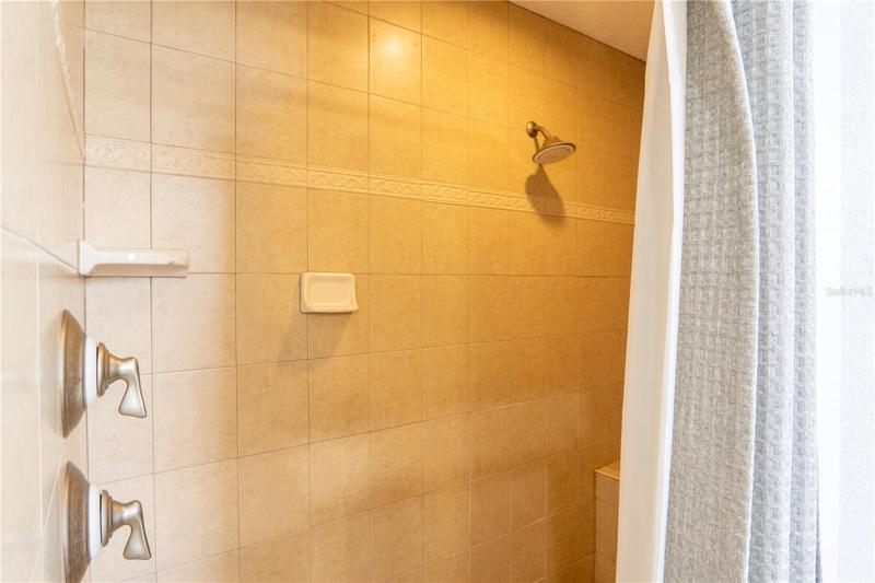 MASTER BATH SHOWER #1