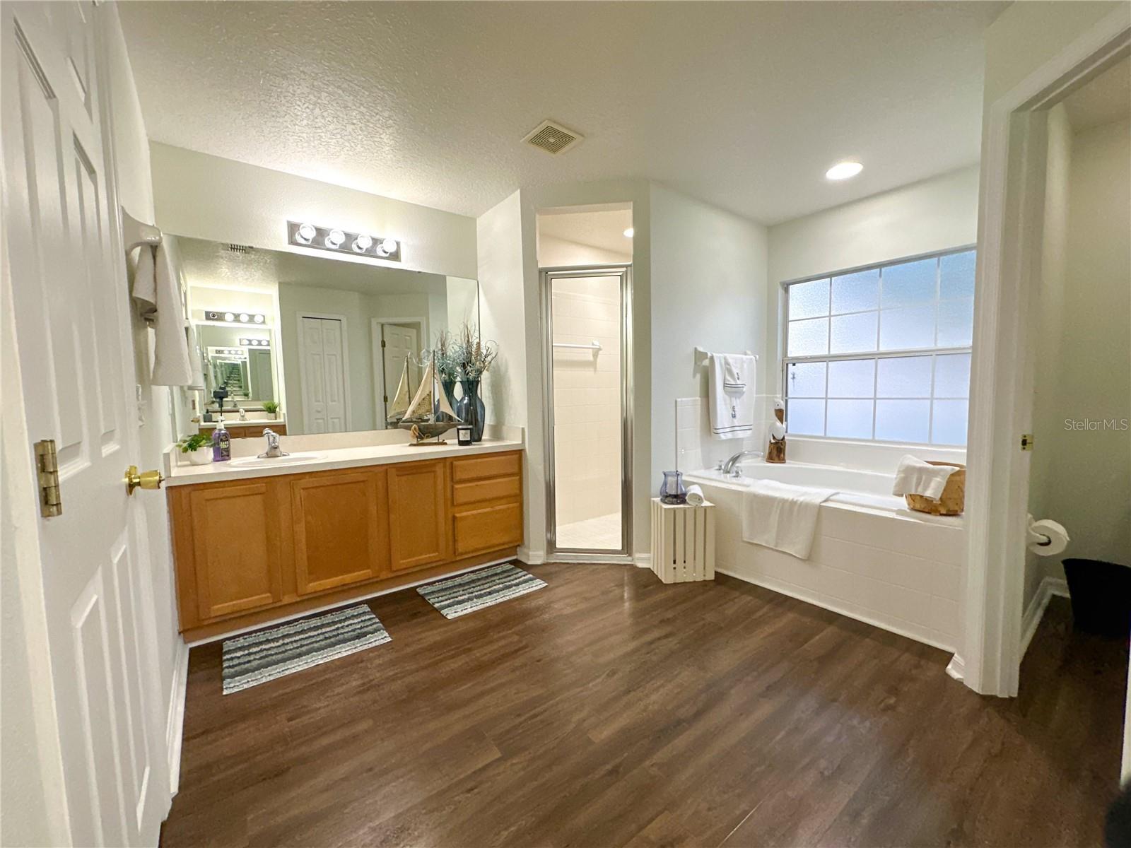 Owner's Bath
