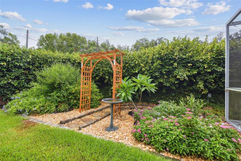 Butterfly garden