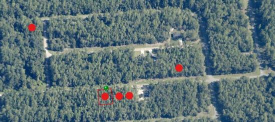 Satelital