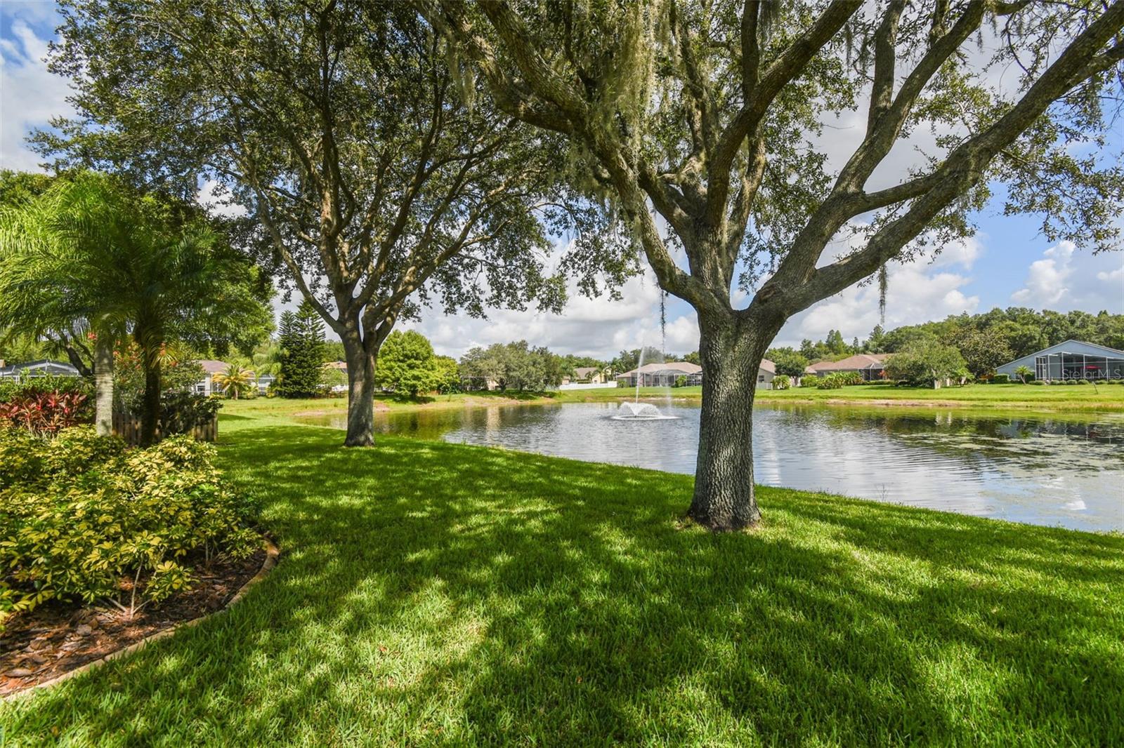 Pond View