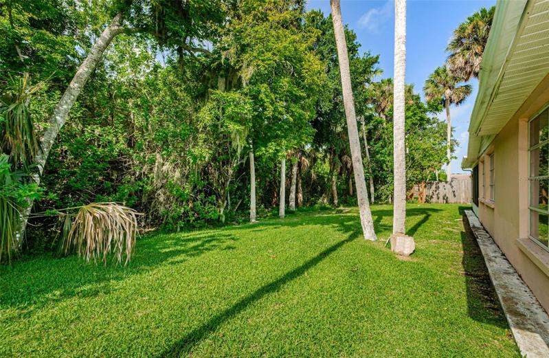 Back yard