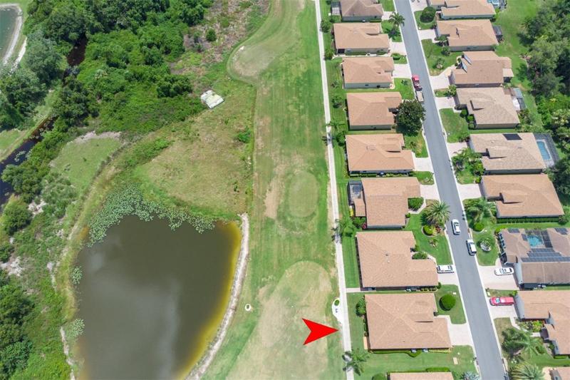 This home is located on the fairway of Lake Ashton's 14th hole.