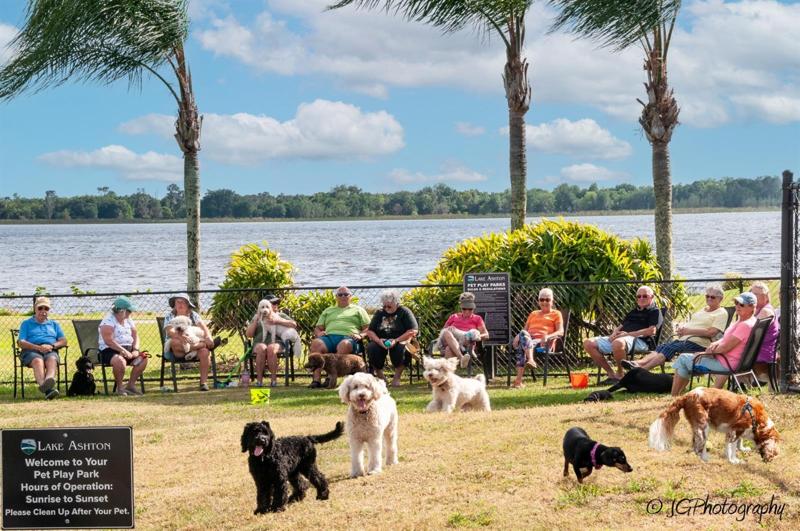 Lake Ashton has 3 pet parks for our 