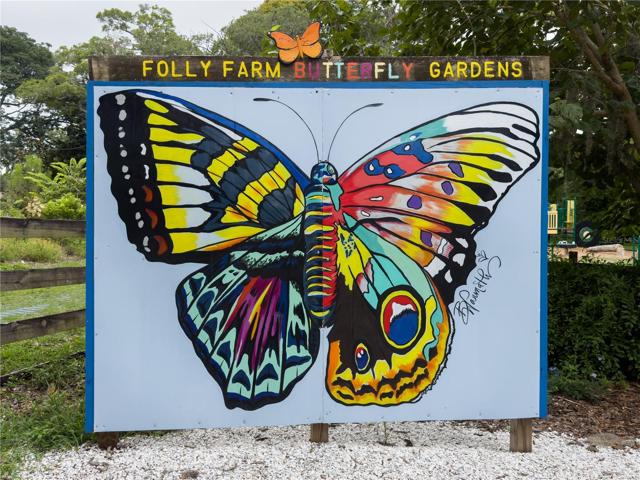 Folly Farm butterfly gardens