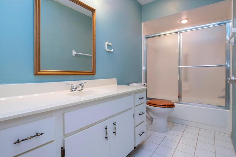Guest Bath