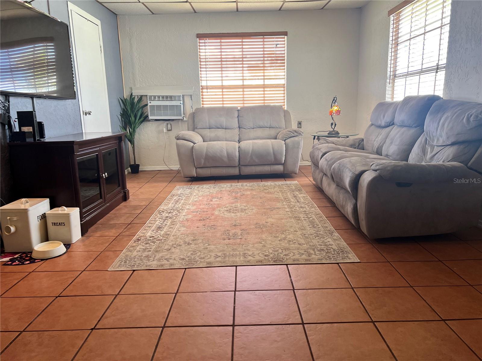 Spacious back Living room