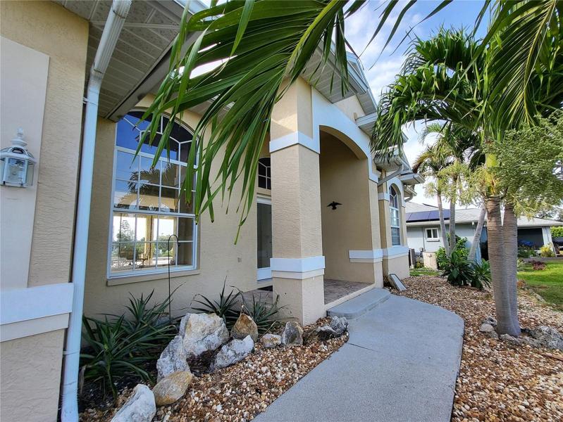 Palms along walkway