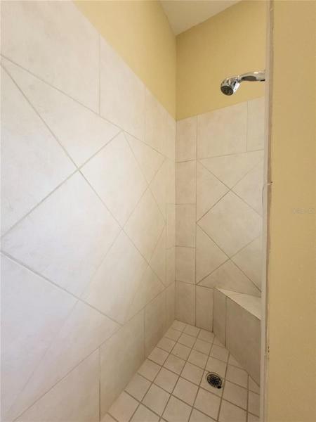 Walk-in shower with built-in seat