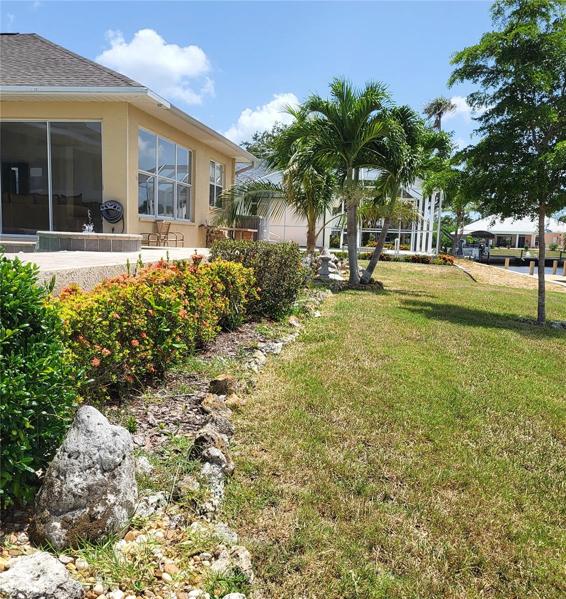 Landscaping across the back of the pool deck
