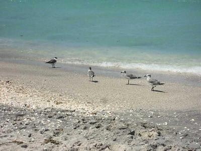 Beautiful Beaches