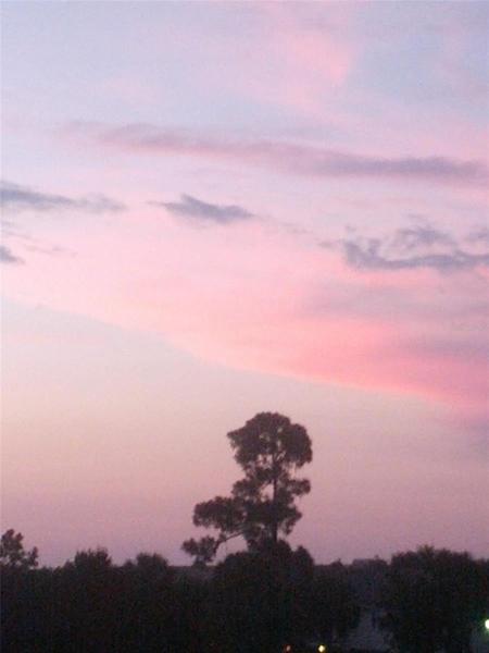 Beautiful Skies~