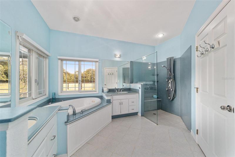 Master bath, soaking tub and large walk in shower