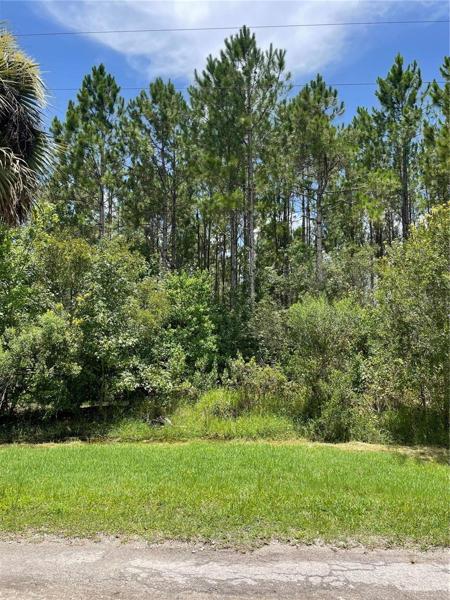 Pheasant Run Vacant Lot