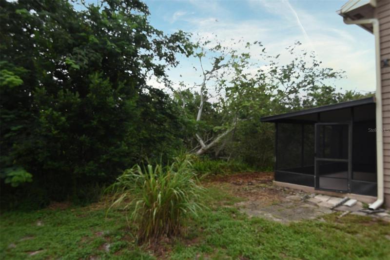 Backyard Area