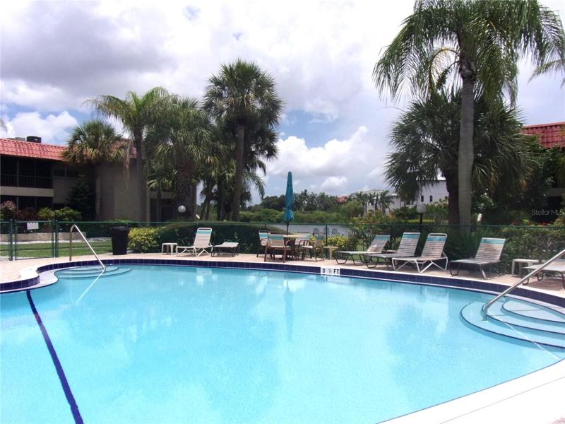pool overlooking the water