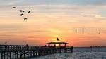 Safety Harbor Marina Park