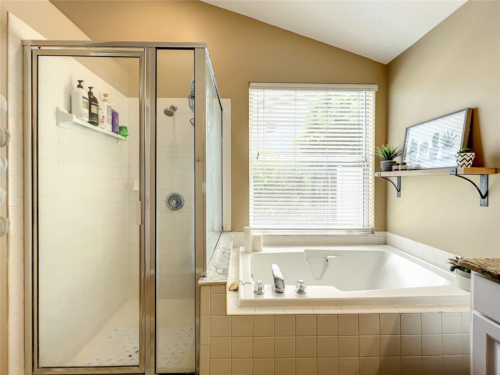 Separate tub and shower