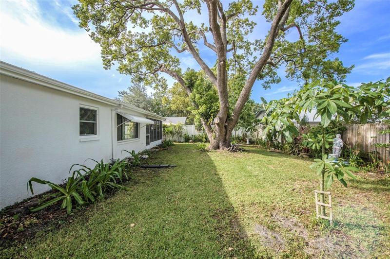 Rear backyard