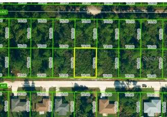 Overhead Aerial Pic of Lot Location