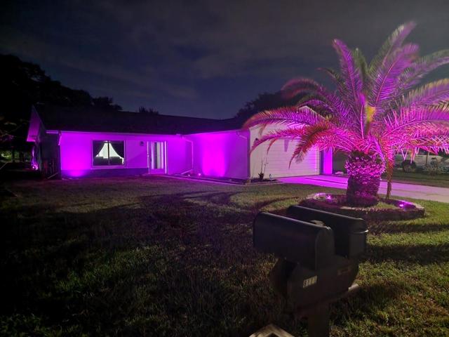 Landscape lighting, front view!
