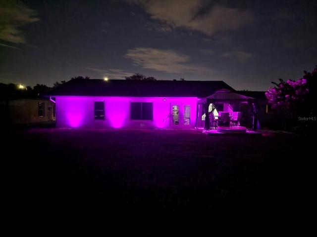 Landscape lighting, rear view of home!