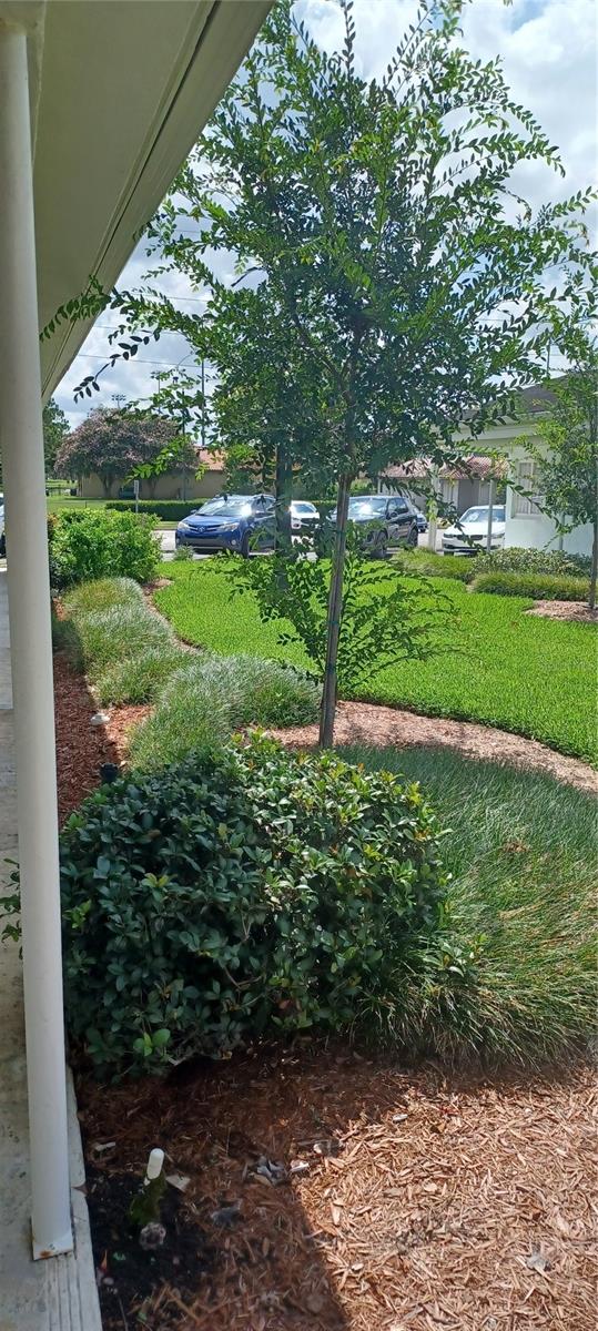 Courtyard and Rear Parking