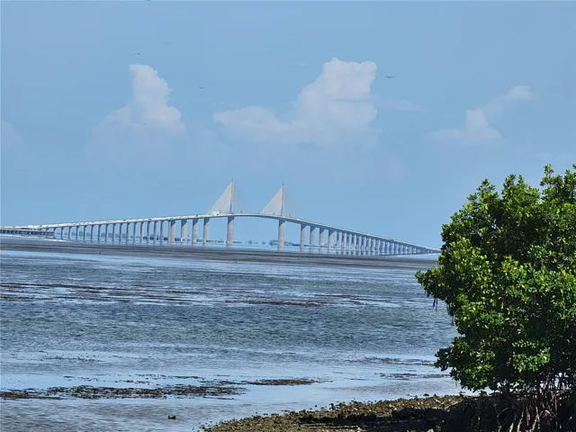 Skyway