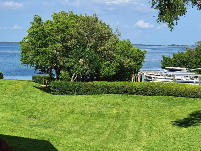 The grounds